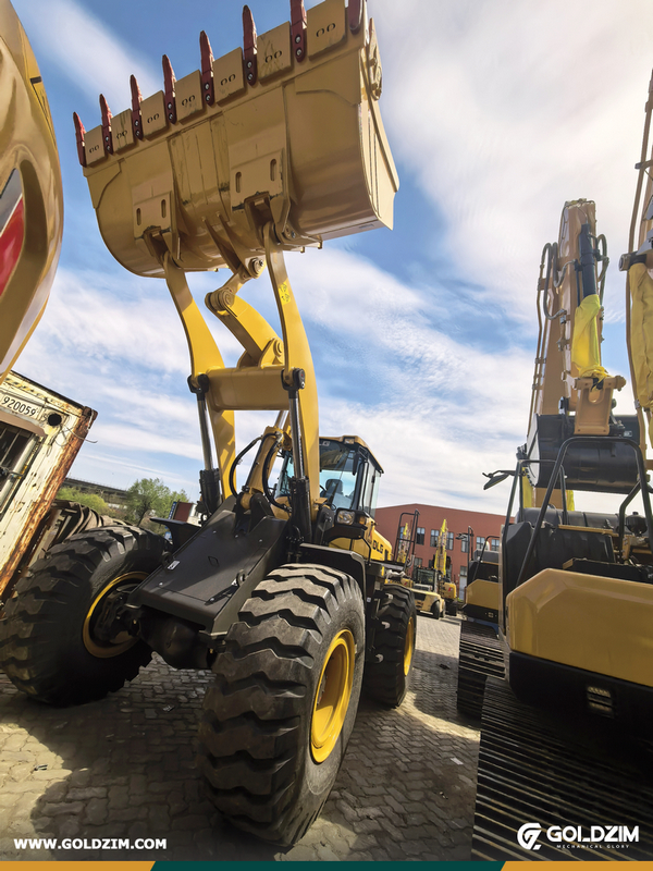 Niger - 1 Unit SDLG L956F Wheel Loader