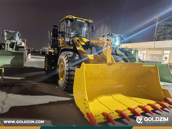 Niger - 1 Unit SDLG L956F Wheel Loader